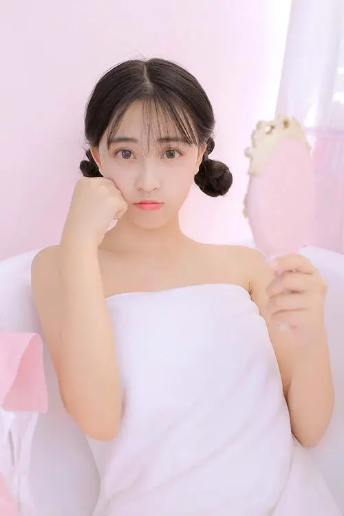 屠户家的小娘子,小说,免费无广告,DVD版,全11集