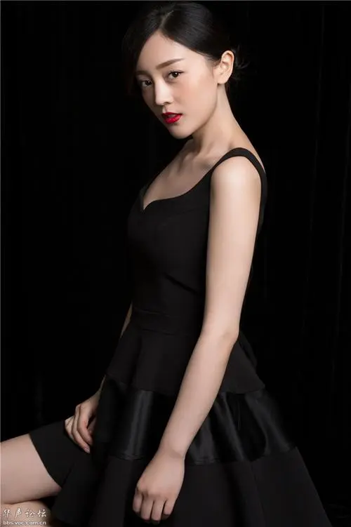 少帅剧情介绍,成长,高码率收藏版,在线看免费